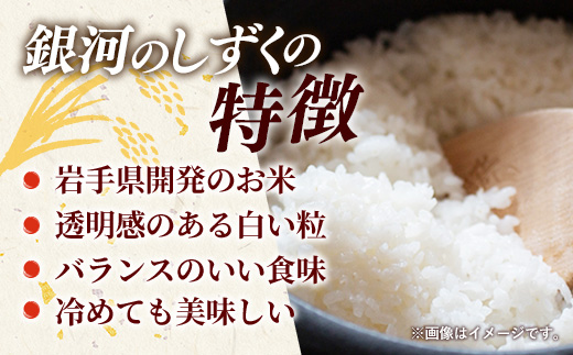 【先行受付】令和7年産 岩手町産 銀河のしずく 10kg(5kg×2袋) ／ 先行予約 新米 白米 ご飯 米 精米 おこめ 単一原料米 ブランド米 新鮮 おすすめ 送料無料 岩手県 岩手町 銀河のしずく 10kg（5kg×2袋）