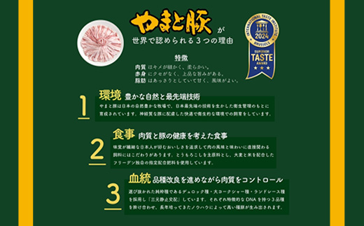 岩手県産やまと豚5種約2.6kg 国産 肉 豚肉 やまと豚 鍋 焼肉 豚ロース 豚バラ 豚こま モモスライス ひき肉 とんかつ 生姜焼き しゃぶしゃぶ 真空パック 小分け 冷凍 岩手県 岩手町