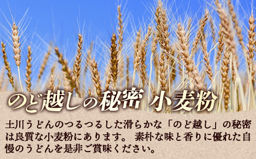 岩手名物「土川うどん」4㎏ 200ｇ×20袋 うどん 乾麺 干しうどん 麺類 麺 つるつる なめらか 素朴 自然乾燥 ギフト 贈り物 岩手県 岩手町 土川そば
