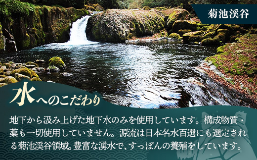 麻布小銭屋すっぽんスープ90缶 すっぽん スッポン 缶スープ すっぽん鍋 便利 使いやすい ストック コラーゲン コラーゲン 雑炊 スープ 茶碗蒸し 料亭 岩手県 岩手町 イワタニ
