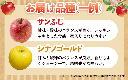 【訳あり】岩手町産りんご詰め合わせ約5kg 令和7年産 訳アリ 家庭用 規格外 不揃い りんご リンゴ サンふじ シナノゴールド シナノスイート 北斗 5kg フルーツ 果物 くだもの アップル 甘み 酸味 ジューシー セット 詰め合わせ 道の駅 産直 直送 岩手産 岩手町産 岩手県 岩手町 ふるさと振興公社