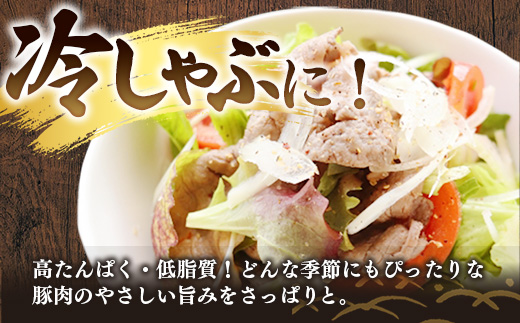 【定期便3か月】岩手県産豚肉小間切れ約1.0kg(500g×2P)×3か月 国産 豚肉 肉 豚 小間切れ お肉 小分け 赤身 旨み 料理 焼肉 野菜炒め 生姜焼き 冷凍 岩手県 岩手町