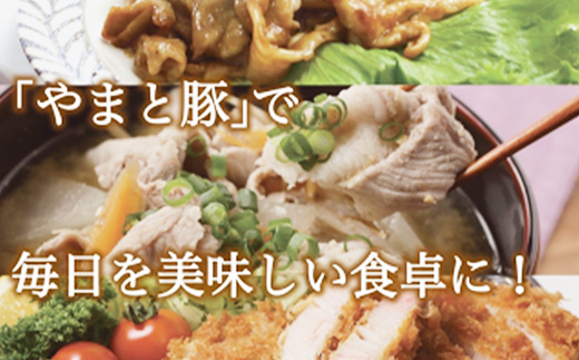 岩手県産やまと豚5種約2.6kg 国産 肉 豚肉 やまと豚 鍋 焼肉 豚ロース 豚バラ 豚こま モモスライス ひき肉 とんかつ 生姜焼き しゃぶしゃぶ 真空パック 小分け 冷凍 岩手県 岩手町