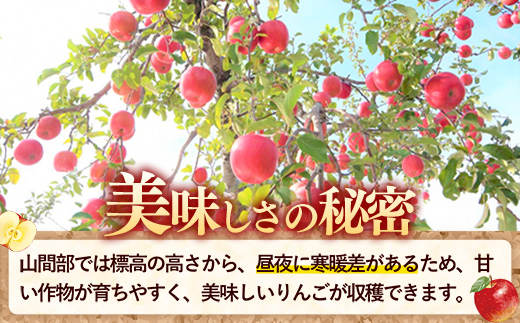 【12月下旬より順次発送】【先行受付】フジ＆シナノゴールド約5kg 令和7年産 りんご リンゴ フジ シナノゴールド フルーツ 果物 くだもの アップル 甘み 酸味 蜜入り ジューシー セット 詰め合わせ 岩手産 岩手県産 岩手県 岩手町 髙村果樹園