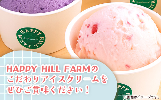 ハッピーさんのアイス 4種類12個入り アイスクリーム カップ スイーツ あいす セット ギフト プレゼント 贈り物 夏 ミルク バニラ ストロベリー ブルーベリー 農場直送 冷凍 岩手県 岩手町