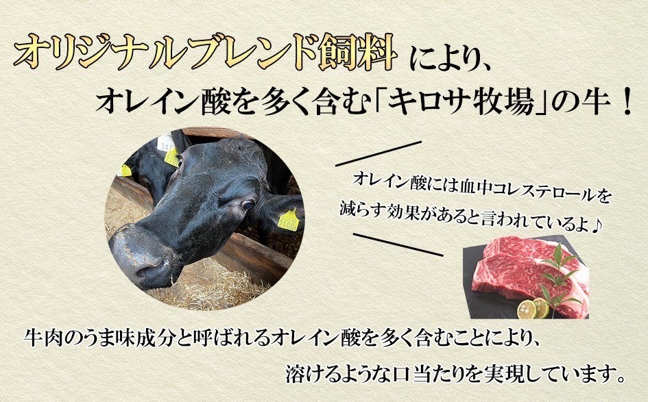 岩手めんこい黒牛 切り落とし 約600ｇ 国産 牛肉 肉 焼肉 牛丼 すき焼き 小分け 冷凍 お肉