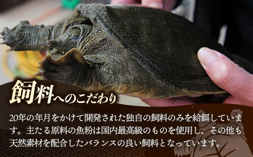 麻布小銭屋すっぽんスープ60缶 すっぽん スッポン 缶スープ すっぽん鍋 便利 使いやすい ストック コラーゲン コラーゲン 雑炊 スープ 茶碗蒸し 料亭 岩手県 岩手町 イワタニ