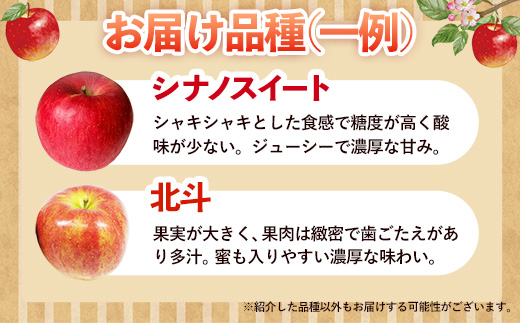 【訳あり】岩手町産りんご詰め合わせ約5kg 令和7年産 訳アリ 家庭用 規格外 不揃い りんご リンゴ サンふじ シナノゴールド シナノスイート 北斗 5kg フルーツ 果物 くだもの アップル 甘み 酸味 ジューシー セット 詰め合わせ 道の駅 産直 直送 岩手産 岩手町産 岩手県 岩手町 ふるさと振興公社