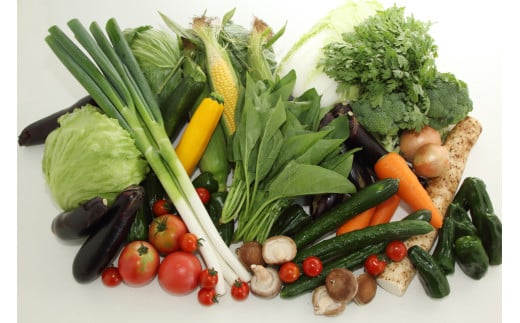 岩手県産やまと豚バラスライス（約450g）＆岩手町の旬野菜セット（5品以上） 豚肉 野菜 豚バラスライス 豚バラ 小分け 真空パック 真空包装 冷蔵 国産 岩手県産 旬 詰め合わせ 産地直送 岩手県 岩手町 やまと豚（バラ肉 3パック）＆岩手町の旬野菜セット