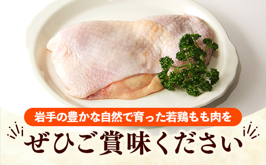 岩手県産 若鶏もも肉 【一枚肉】 約3kg（約300g×10p）小分け 300g 冷凍 真空パック 鶏肉 モモ肉 使いやすい ストック 一枚ずつ 切身 若どり 国産 鶏モモ もも肉 照り焼き 親子丼 岩手県 岩手町 若鶏もも肉【一枚肉】１枚(約300g ) × 10袋