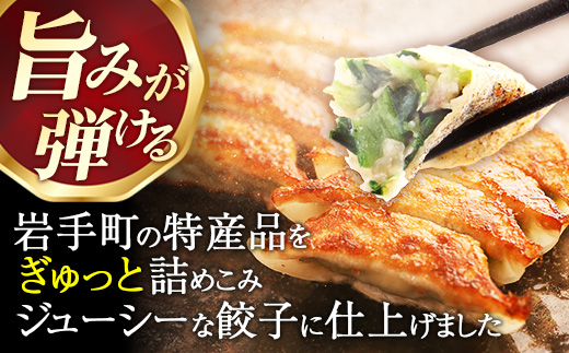【キャベツの街】野菜たっぷり！しんいちろう餃子（12個入×6箱）【72個】お肉 おかず やまと豚 肉 焼き 中華 人気 餃子 ギョーザ ぎょうざ ギョウザ 豚肉 おつまみ 惣菜 6箱（72個）　￥15,000