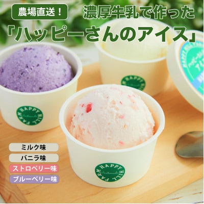 ハッピーさんのアイス ４種類１２個入り アイスクリーム カップ スイーツ あいす セット ギフト プレゼント 贈り物 夏 ミルク バニラ ストロベリー ブルーベリー