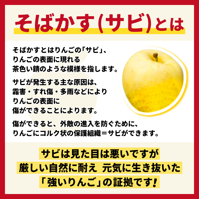 ★サビあり★ りんご はるか 「そばかす冬恋」（自家用「冬恋 はるか」 サビ有） 約2.5kg 糖度15度以上【先行予約 12月発送予定】 数量限定 岩手県産 りんご リンゴ 林檎 冬恋 はるか フルーツ くだもの 果物 訳あり 【冬恋研究会】 (AI023) そばかす冬恋