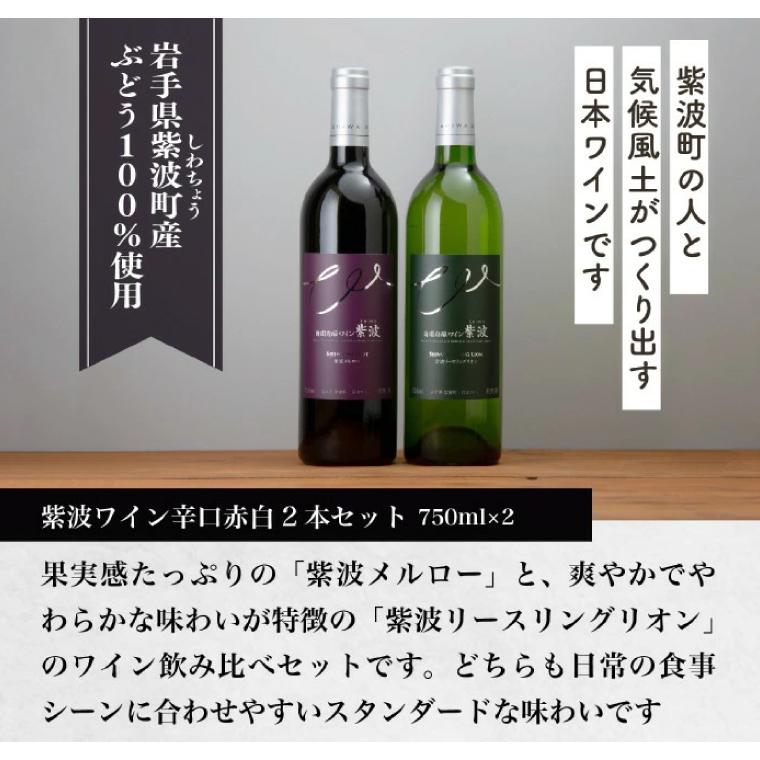 ＼贈り物・ギフトに最適／ 産地限定 ワインぶどう品種使用 自園自醸ワイン紫波 辛口ワイン2本セット ふるさと納税 紫波町産 テロワール ワイン （AL045-1）