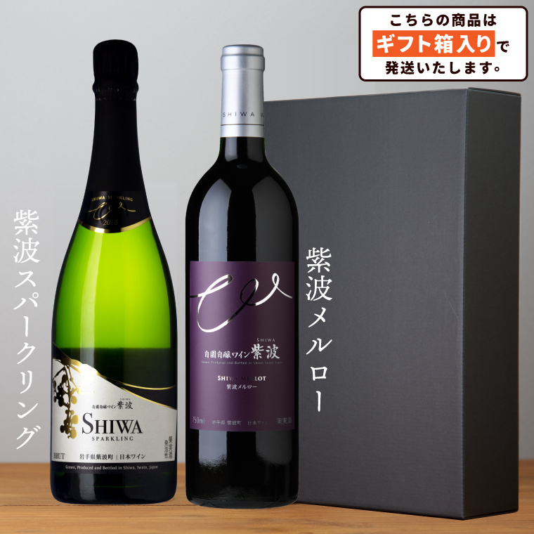 ＼贈り物・ギフトに最適／ 紫波町産 ワインぶどう 100% テロワール 「ワインコンクール受賞ワイン２本セット」 (AL071)