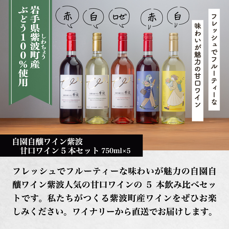 自園自醸ワイン紫波 甘口５本セット 甘口 セット 飲み比べ ワイン (AL109)