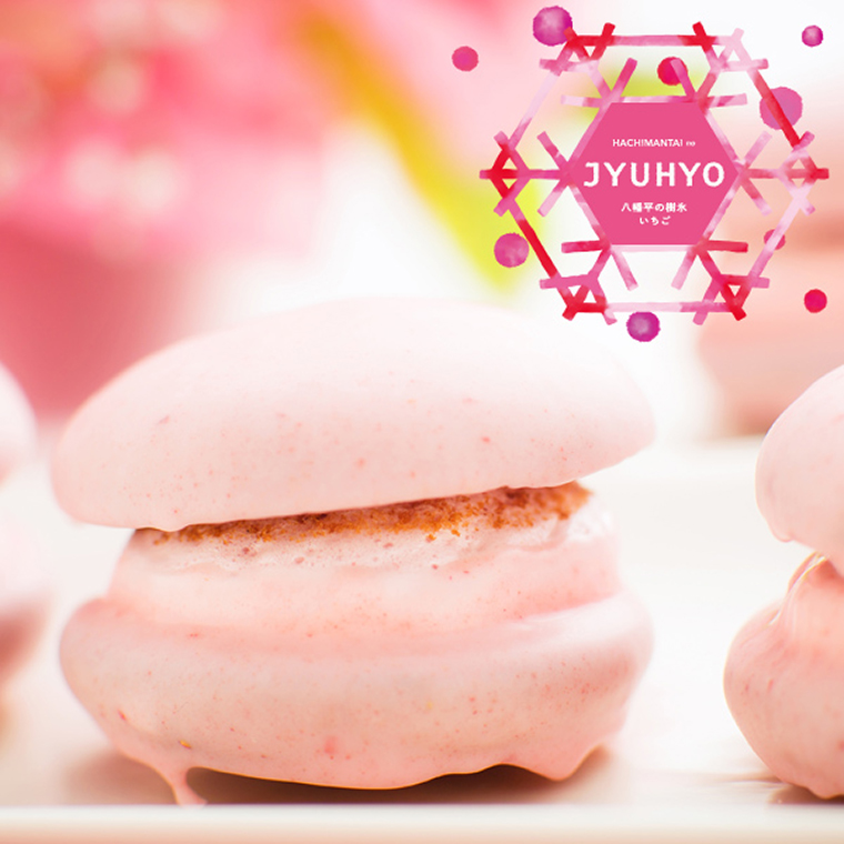 八幡平の樹氷いちご6個入 (AQ044-1)