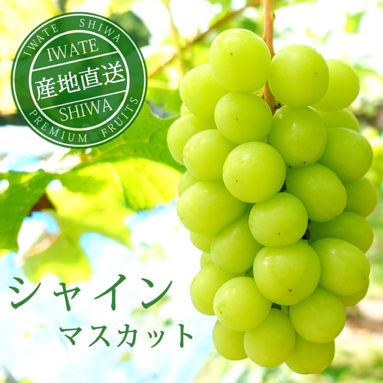 【先行予約】ぶどう 2種 食べ比べ セット 約1kg (各1房) (AR033) シャインマスカット クイーンニーナ 2026年産 希少品種 数量限定 岩手県 紫波町産 産地直送 フルーツ 葡萄 ブドウ 高品質 完熟 甘い 新鮮