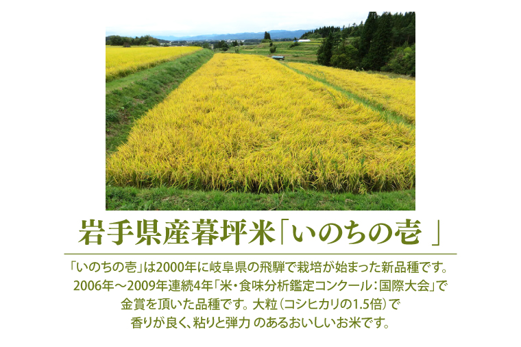 令和6年産 いのちの壱 「玄米」10kg (CA023)