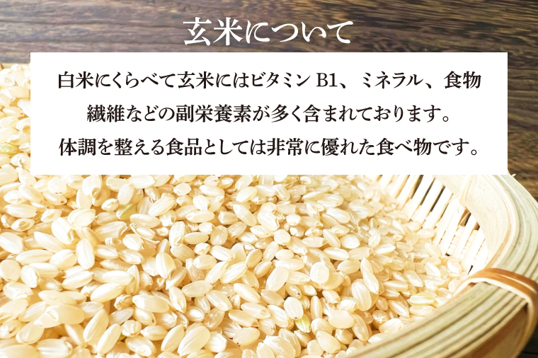 ＼令和7年産／ 完熟あさ陽米 (玄米) 10kg (5kg×2) ひとめぼれ 特別栽培米 生産農家直送 (CP032) 10kg