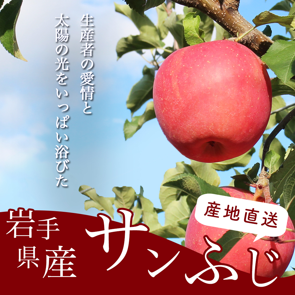 サンふじ 3kg 贈答用 りんご 岩手 紫波町産 秀品 (DV053)