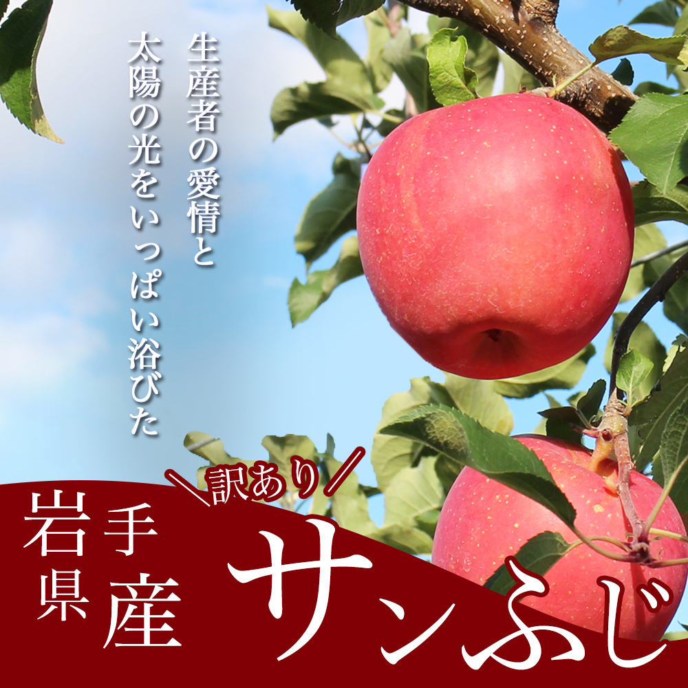 サンふじ 5kg 訳あり りんご 紫波町産 (DV054)