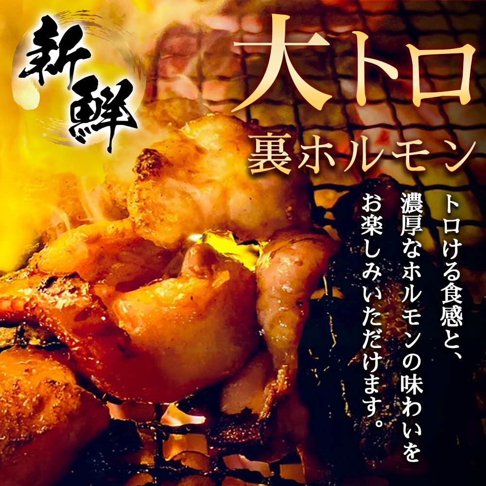 国産豚ホルモン 大トロ キクアブラ 750g (150g×5)（DV067） 750g (150g×5)