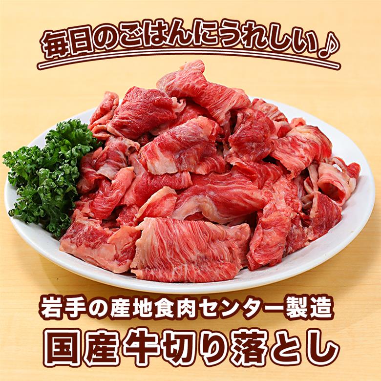  国産牛切り落とし3kg（250g×12パック）（DV073） 3kg（250g×12パック）