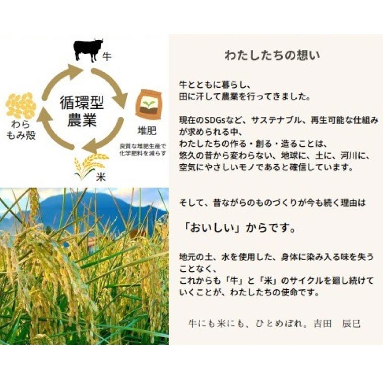 数量限定 令和7年産 「ひとめぼれ」 精米 5kg | 米 お米 コメ 精米 白米 ヒトメボレ 岩手県紫波町 (DZ006) 5kg