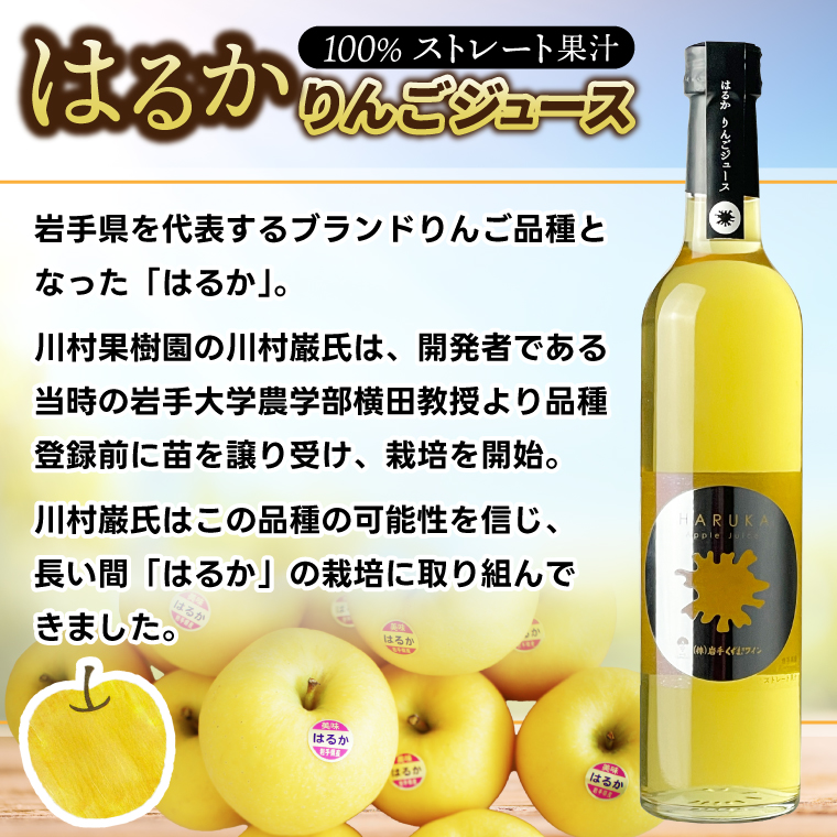 はるか りんごジュース ２本セット【ジュース 果汁100％ ストレートジュース フルーツジュース 岩手県 紫波町産 りんご】（EX001） りんごジュース ２本セット