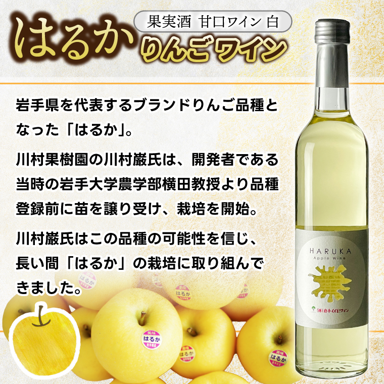 はるか りんごワイン ２本セット【ワイン フルーツワイン 岩手県 紫波町産 りんご】（EX002） りんごワイン ２本セット