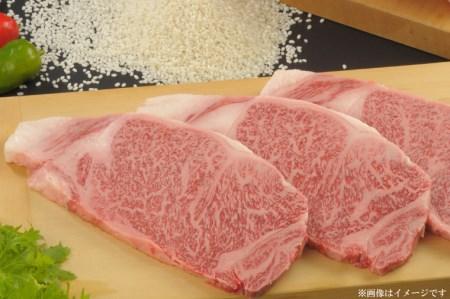 黒毛 ブランド 和牛【しわ　もちもち牛】 サーロイン ステーキ 約500ｇ (250ｇ×2枚) (AM002-1)