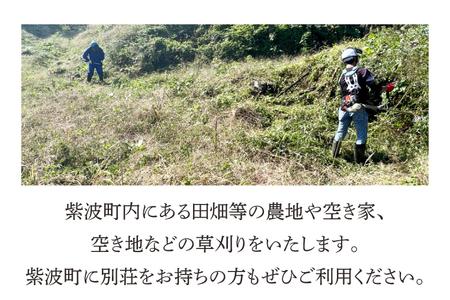 DQ001 【要事前連絡】草刈り、除草作業サービス（農地、空き地、空き家等）