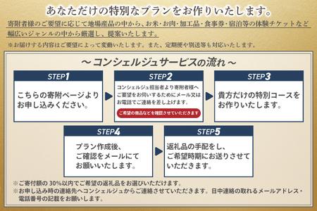 コンシェルジュ コース 紫波町 30万円 提案型 （DS000）