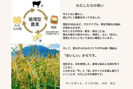 数量限定 令和7年産 「ひとめぼれ」 精米 10kg | 米 お米 コメ 精米 白米 ヒトメボレ 岩手県紫波町 (DZ002)