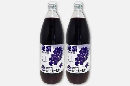 ＼自家農園育ちのぶどうを使った果汁100％ジュース／ 「文さんちの完熟ぶどうジュース 1000ml×2本 」(EH001)