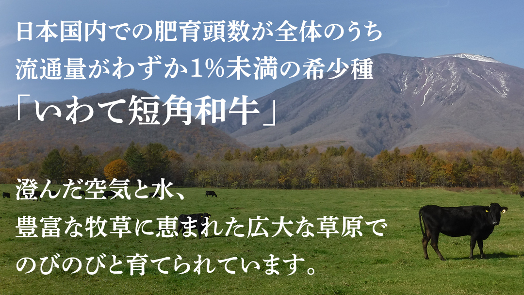 ＼2ヶ月連続 定期便／ 切り落とし 赤身 肉 牛肉 いわて 短角和牛 250g (総計 500g) 小分けパック 真空冷凍 | 牛肉 肉 赤身 短角 和牛 国産牛 ブランド牛 切り落し 大容量 牛丼 肉じゃが 煮込み 煮物 小分け 真空パック 数量限定 (AB110) 2回 250g