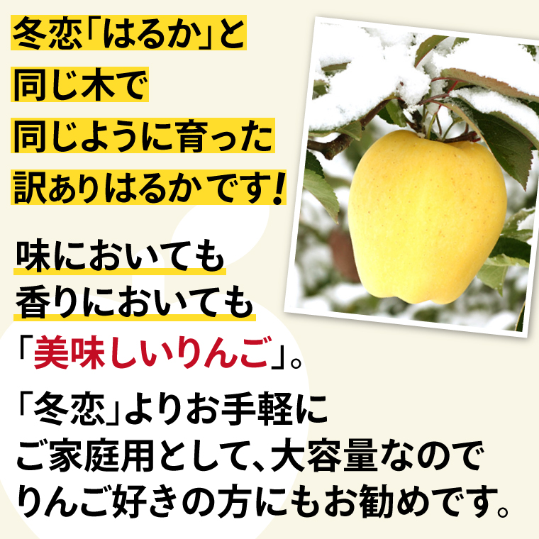りんご はるか 「純情はるか」約2.5kg 糖度14度以上【先行予約 12月発送予定】数量限定 岩手県産 りんご リンゴ 林檎 はるか フルーツ くだもの 果物 訳あり 自家用 家庭用 【冬恋研究会】 (AI024) 純情はるか