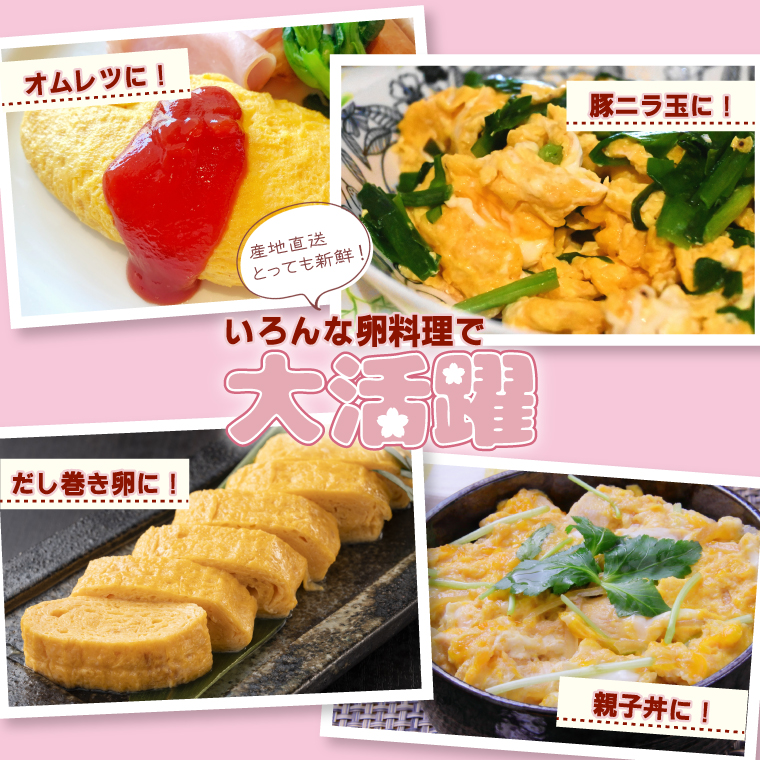 【純国産鶏もみじ】平飼い卵30個入り (破損保証5個含む)【3ヶ月連続お届け】 (AJ024) 定期便 3ヶ月