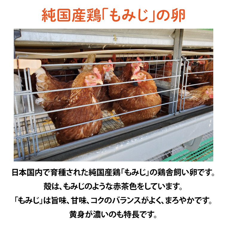 純国産鶏【さくらともみじ】純たまご30個 (破損保証5個含む) (AJ031)