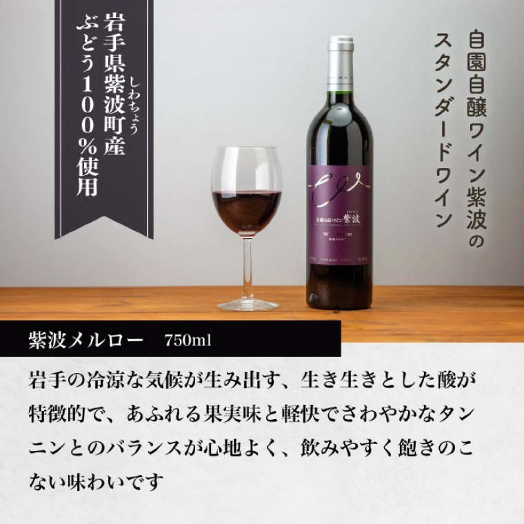 ＼贈り物・ギフトに最適／ 産地限定 ワインぶどう品種使用 自園自醸ワイン紫波 辛口ワイン2本セット ふるさと納税 紫波町産 テロワール ワイン （AL045-1）
