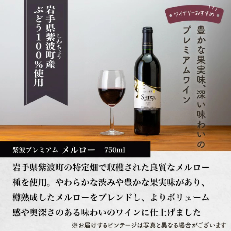 ＼贈り物・ギフトに最適／ 産地限定 ワインぶどう品種使用 自園自醸ワイン紫波 プレミアムワイン2本セット ふるさと納税 紫波町産 テロワール ワイン （AL046-1）