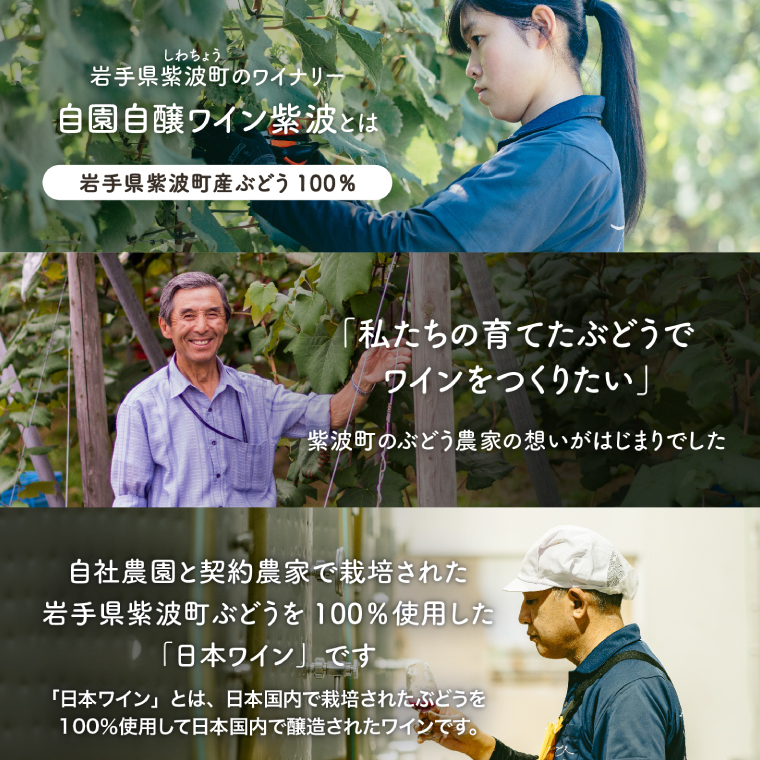 紫波育ち紅白２本セット【自園自醸ワイン紫波】赤 白 セット 飲み比べ ワイン (AL108)