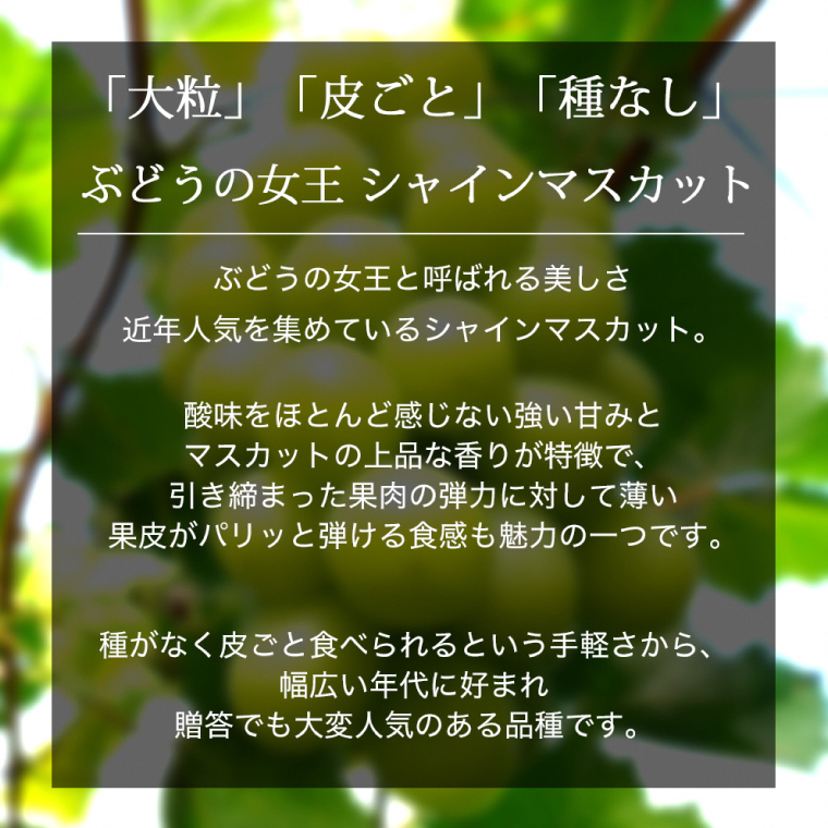 【先行予約】ぶどう 2種 食べ比べ セット 約1kg (各1房) (AR033) シャインマスカット クイーンニーナ 2026年産 希少品種 数量限定 岩手県 紫波町産 産地直送 フルーツ 葡萄 ブドウ 高品質 完熟 甘い 新鮮
