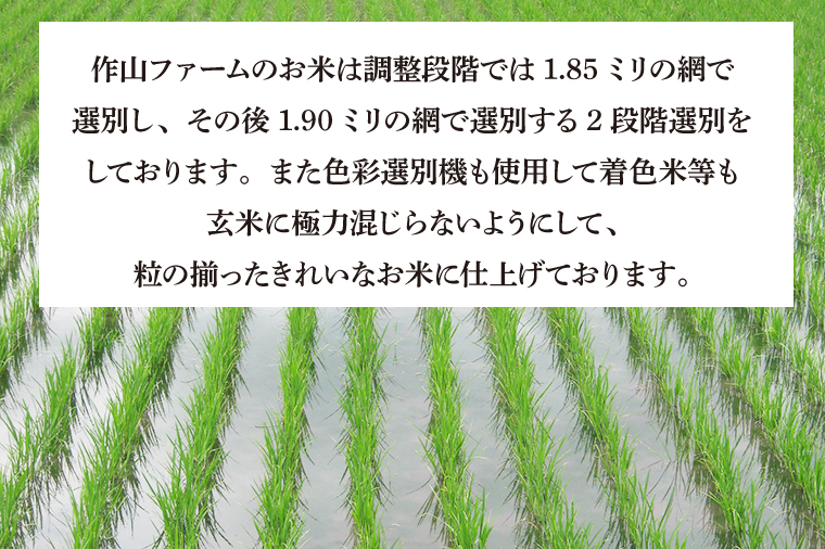 ＼令和7年産／ 完熟あさ陽米 (玄米) 20kg (5kg×4) ひとめぼれ 特別栽培米 生産農家直送 (CP033) 20kg