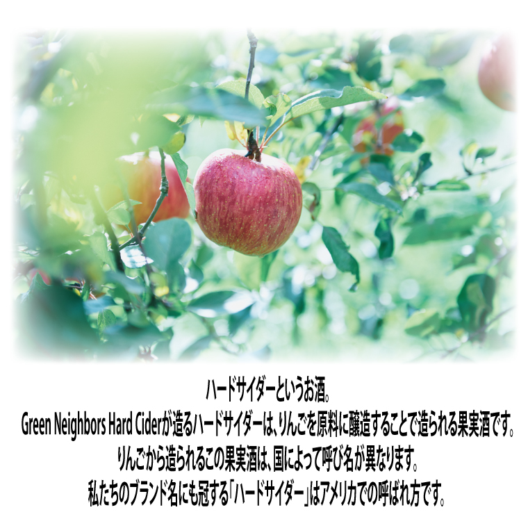 Green Neighbors Hard Cider FLAGSHIP 6本set (DRY)【毎月数量限定】(DB015) 6本