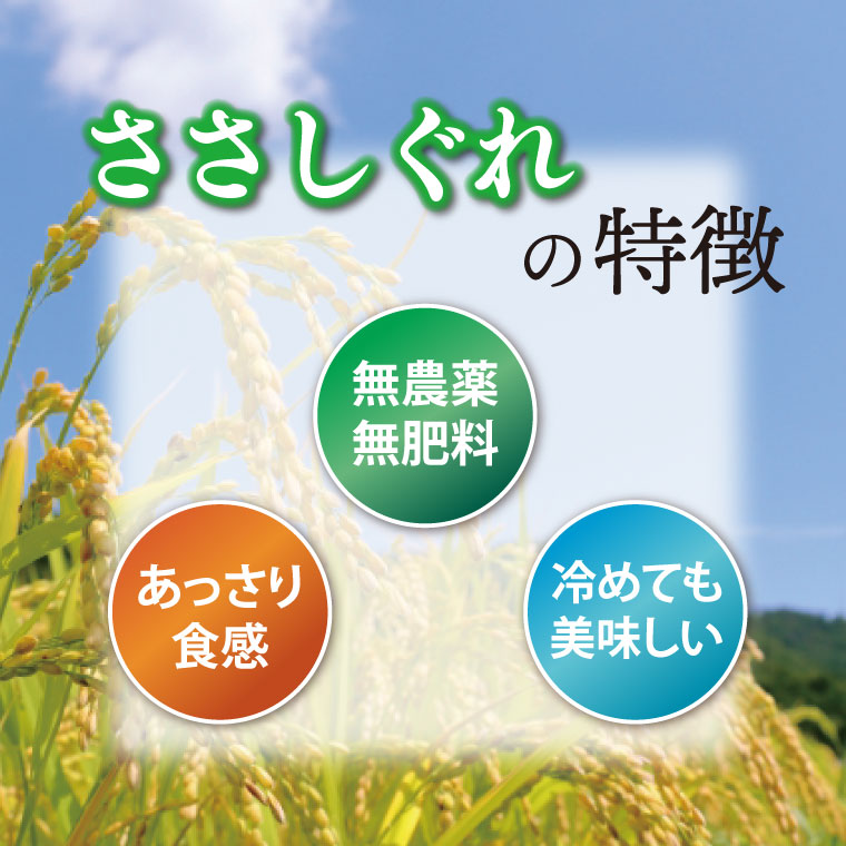 ★令和7年産★ 新米 ささしぐれ 5kg (玄米) (DE008) 玄米 5kg