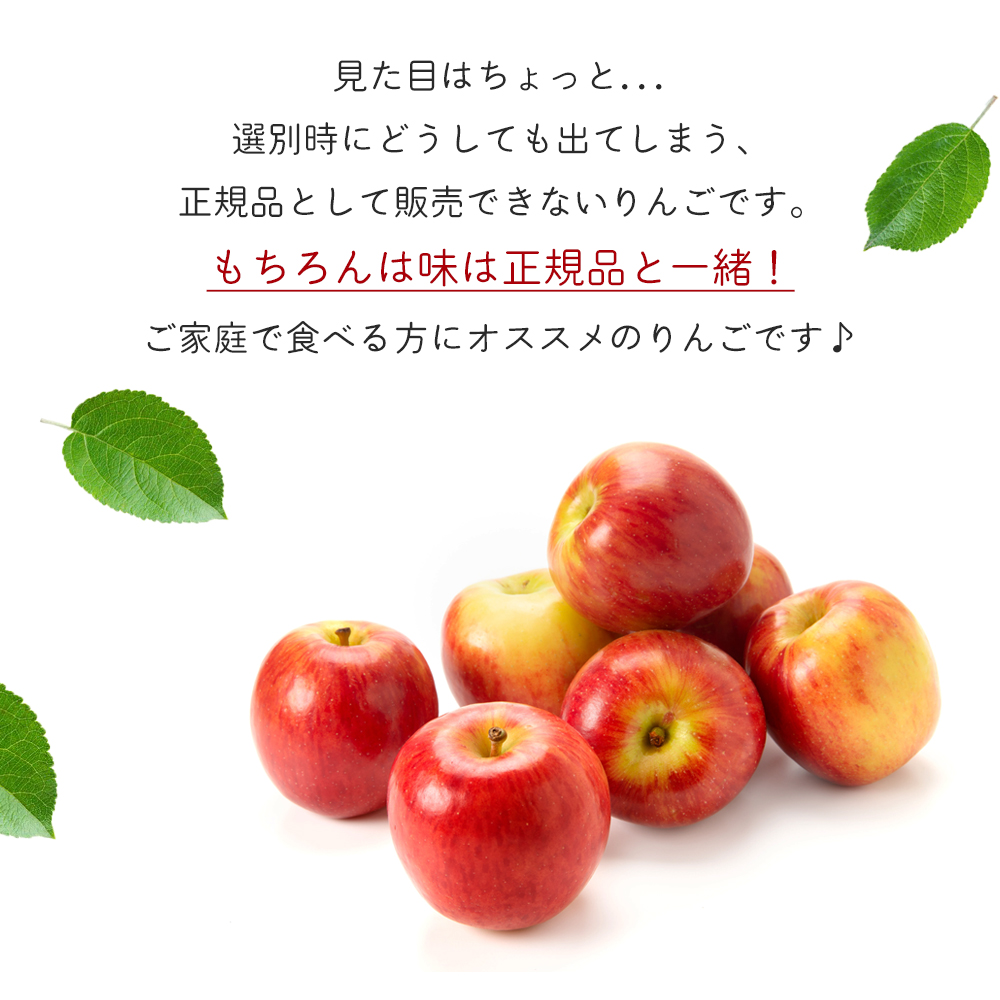 サンふじ 5kg 訳あり りんご 紫波町産 (DV054)