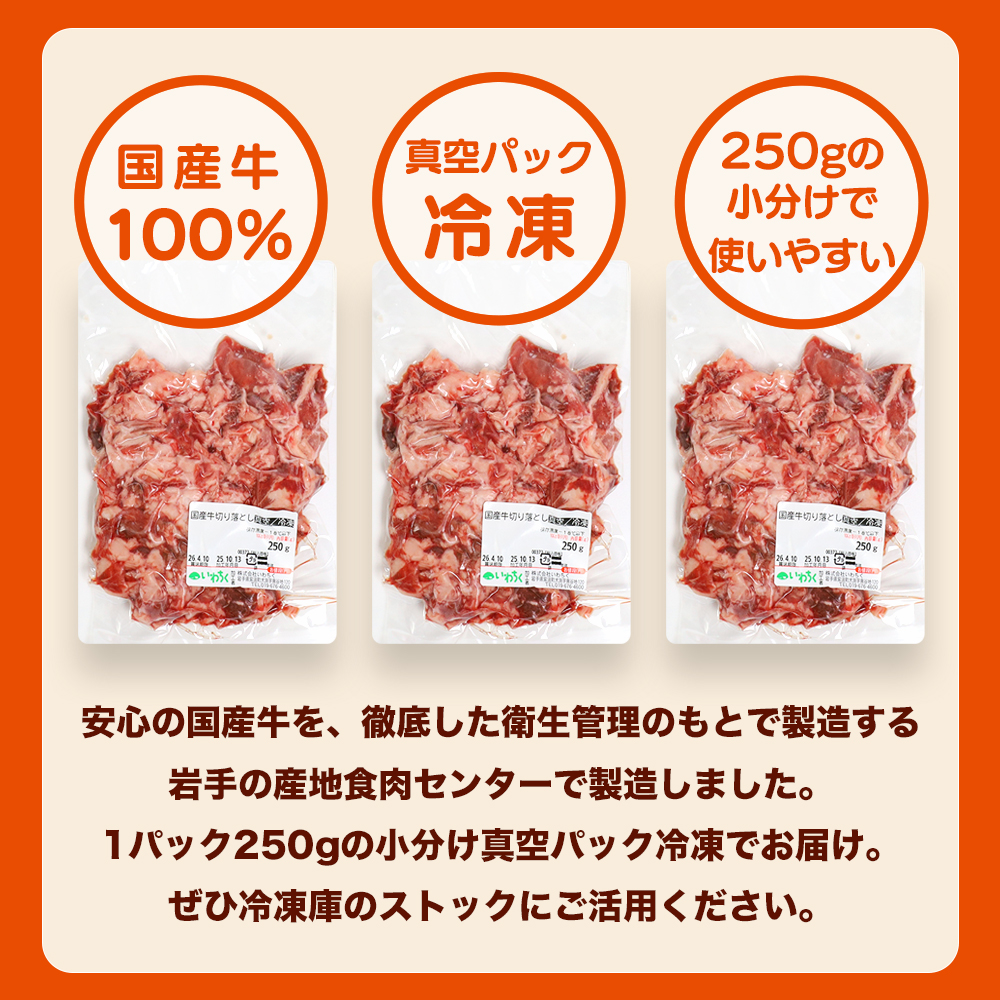 ★先行予約 2月中旬より発送★ 国産牛切り落とし250g（DV069） 250g（250g×1パック）