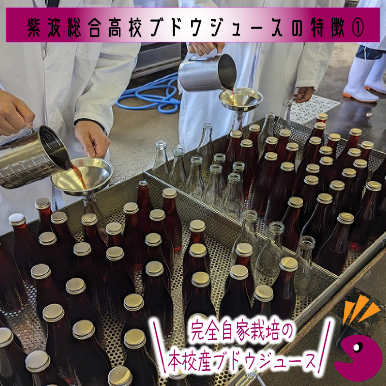 ＼紫波の高校生が作りました！／紫波町産 ぶどうジュース 300ml 2本入り (EC001)